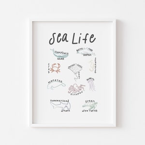 Ocean Animal Educational Poster, Printable Montessori Materials, Classroom Posters, Playroom Decor, Watercolor Sea Life Print, Marine Life