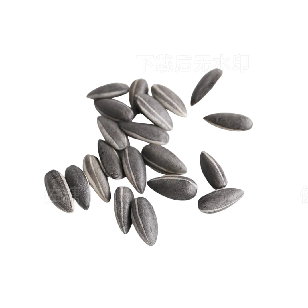 Ai Weiwei Porcelain Sunflower Seeds 2010LONDON TATE MODERN 100 Pcs Etsy