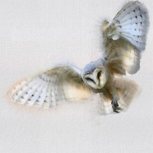 Owl Art Print, Bird Art, Art Print, Owl Art, Gift, Owl Painting, Owl, Owl Print