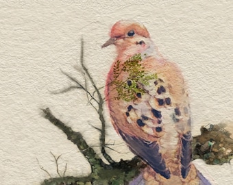 Dove Art Print, Bird Art, Art Print, Mourning Dove Art, Mourning Dove, Bird Painting, Hand Made Art, Dove Print, Dove