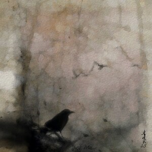 Crow Art Print, Bird Art, Art Print, Crow Art, Crow, Bird Painting, Wildlife Art, Crow Print