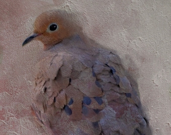 Dove Art Print, Bird Art, Art Print, Mourning Dove Art, Mourning Dove, Bird Painting, Hand Made Art, Dove Print, Dove