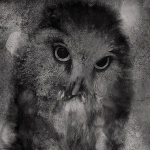 Owl Art Print, Bird Art, Art Print, Owl Art, Gift, Owl Painting, Owl, Owl Print