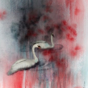 Swan Art Print, Bird Art, Art Print, Swan Art, Swans, Bird Painting, Hand Made Art, Swan Print, Swans on Lake, Giclee Print