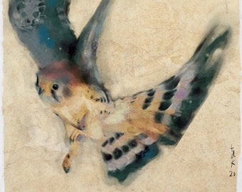 Hawk Art Print, Hawk Art, Art Print, Art, Hawk, Bird Painting, Hand Made Art, Hawk Print