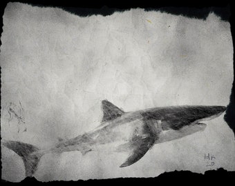 ホオジロザメ　アクリル画　原画 ホオジロザメアクリル画原画
