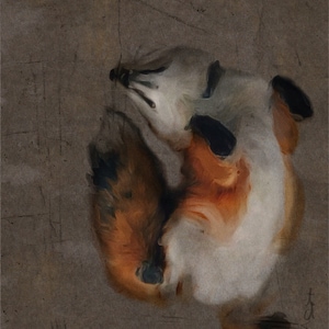 Fox Art Print, Fox Art, Art Print, Wildlife Animal Art, Fox, Fox Painting, Giclee, Fox Illustration