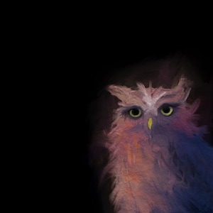 Owl Art Print, Bird Art, Art Print, Owl Art, Gift, Bird Painting, Hand Made Art, Owl Print