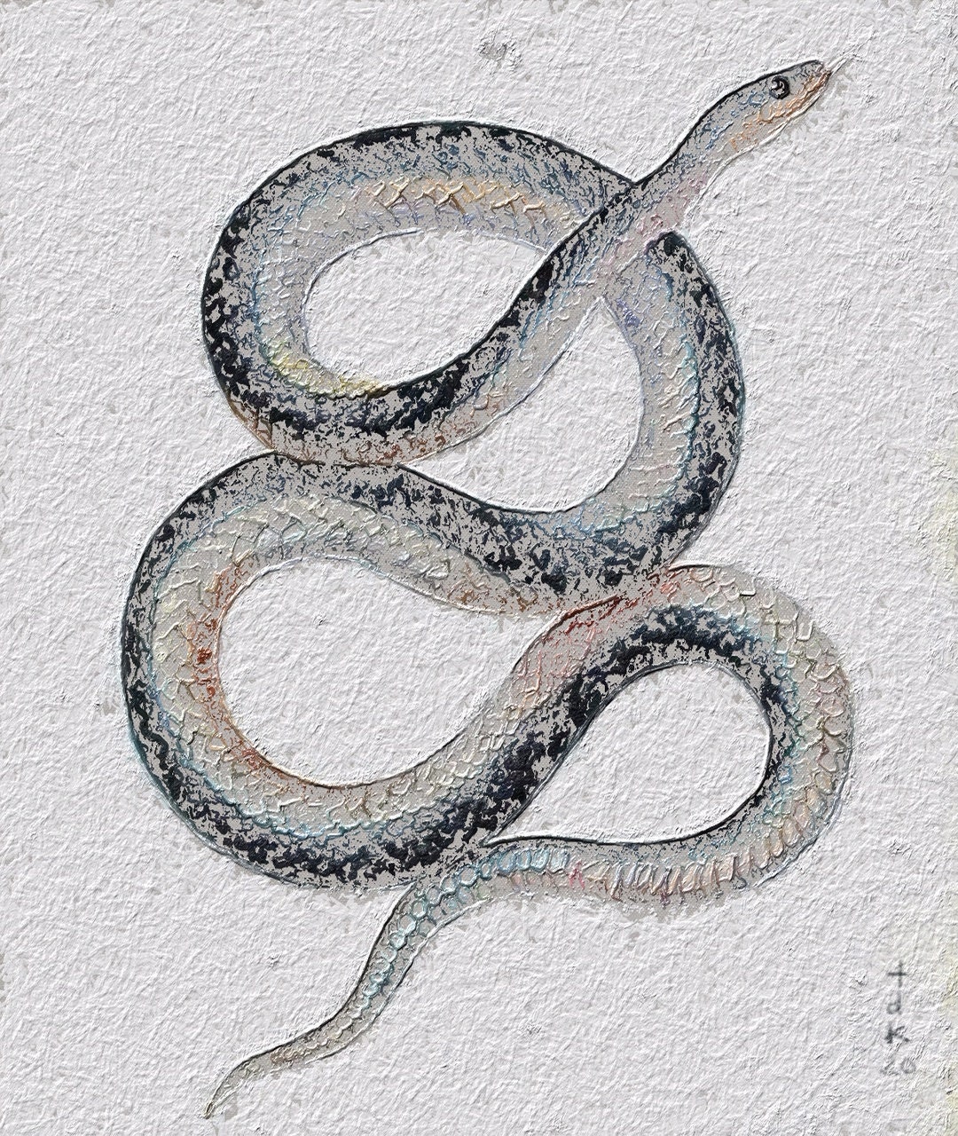 Snake Art Print, Snake Art, Art Print, Wildlife Animal Art, Gift, Snake Painting, Snake, Snake Illustration