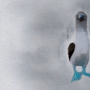 Impresión de arte piquero de patas azules, arte piquero de patas azules, impresión de arte, arte, piquero de patas azules, pintura de aves, vida silvestre, impresión de piquero de patas azules