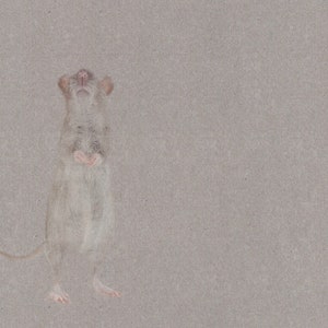 Rat Art Print, Rat Art, Art Print, Rodent Animal Art, Giclee Print, Rat Painting, Rat Illustration, Rats