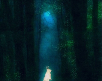 Bunny Art Print, Rabbit Art, Art Print, Wildlife Animal Art, Bunny, Rabbit Painting, BunnyArt, Bunny Illustration, Forest