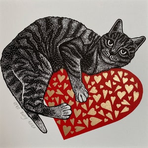 Valentine cat image 1