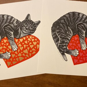 Valentine cat image 3