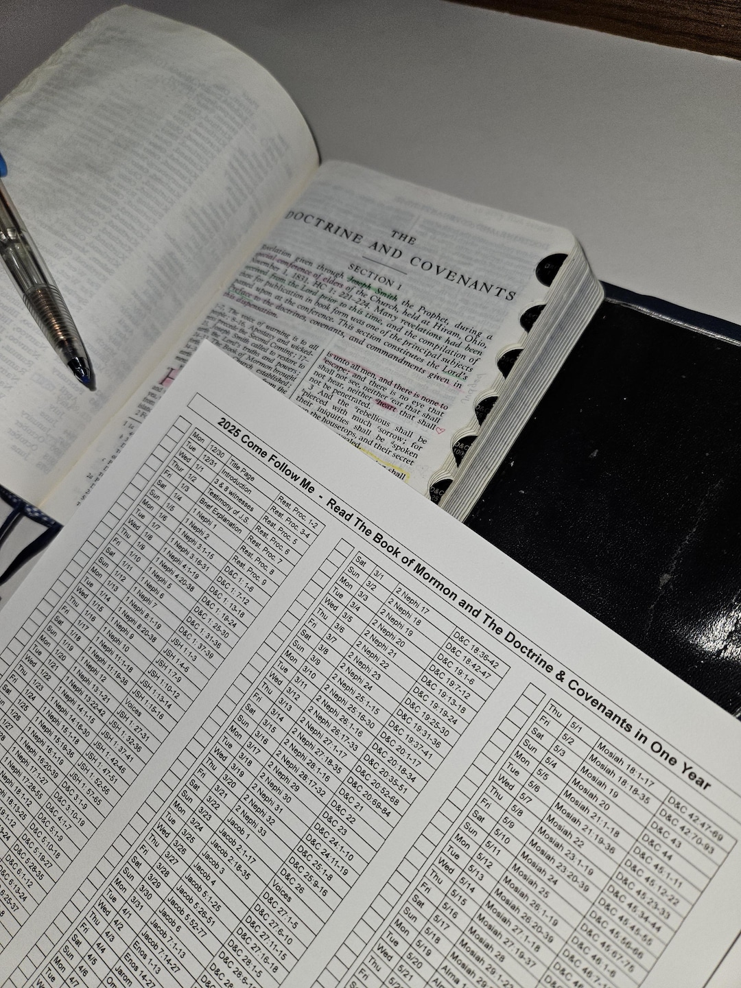 2025 Come Follow Me Daily Reading Chart Schedule for the Doctrine & Covenants + Book of Mormon