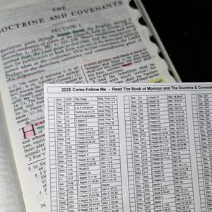 2025 Vem, e Segue-Me - Para o Lar e a Igreja - Cronograma de Leitura Diária para Doutrina e Convênios + Livro de Mórmon para o Ano Inteiro
