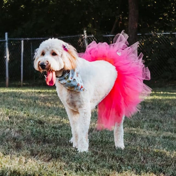 Large Dog Tutu- Puppy Tutu- Dog Birthday- Dog Costume- Dog Halloween- Pet Tutu- Dog Skirt- Dog Outfit- K9 tutu- Dog Tutu- Dog Wedding