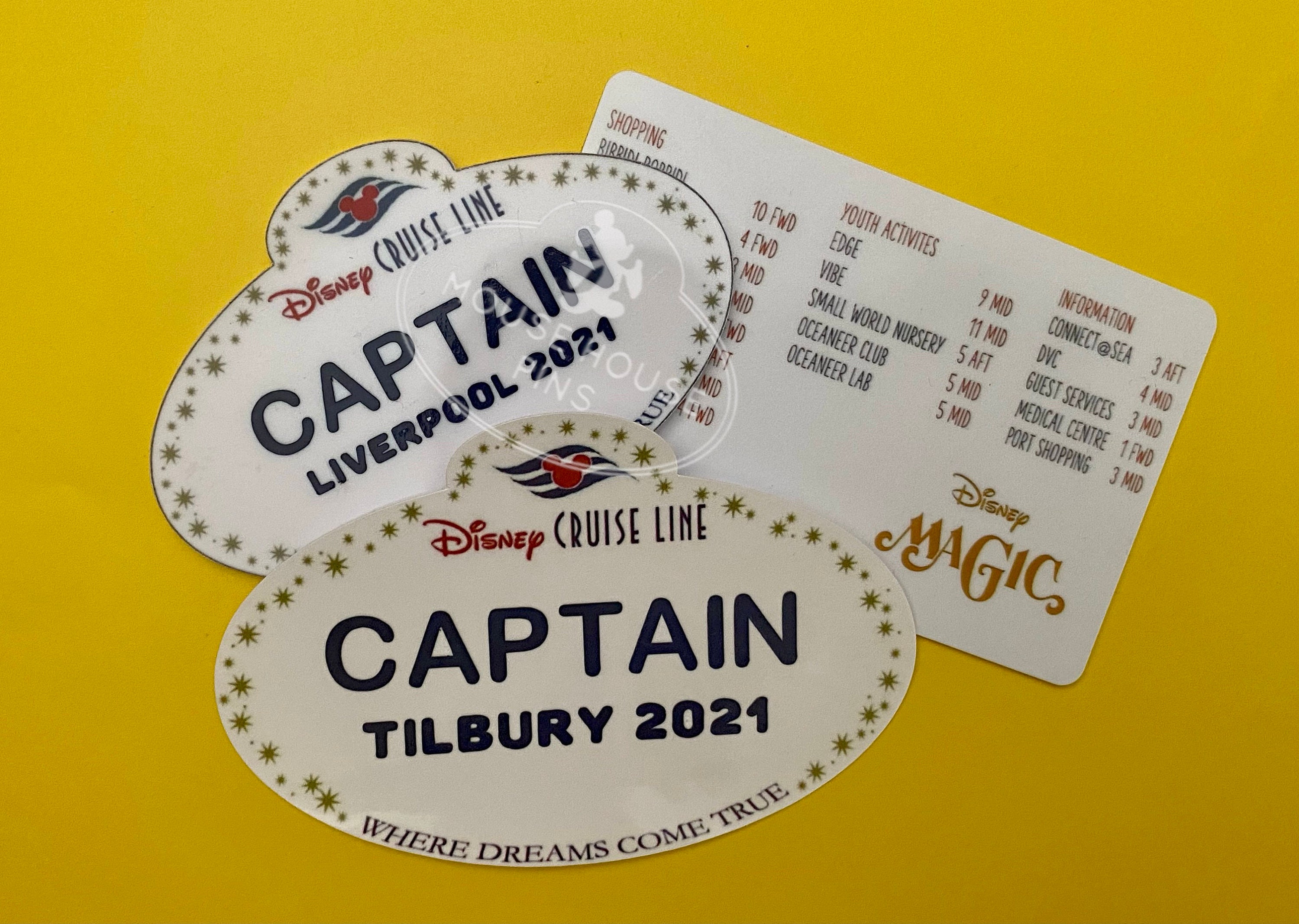 Personalised Disney Cruise Line Vinyl Sticker Luggage Tag DCL Etsy UK