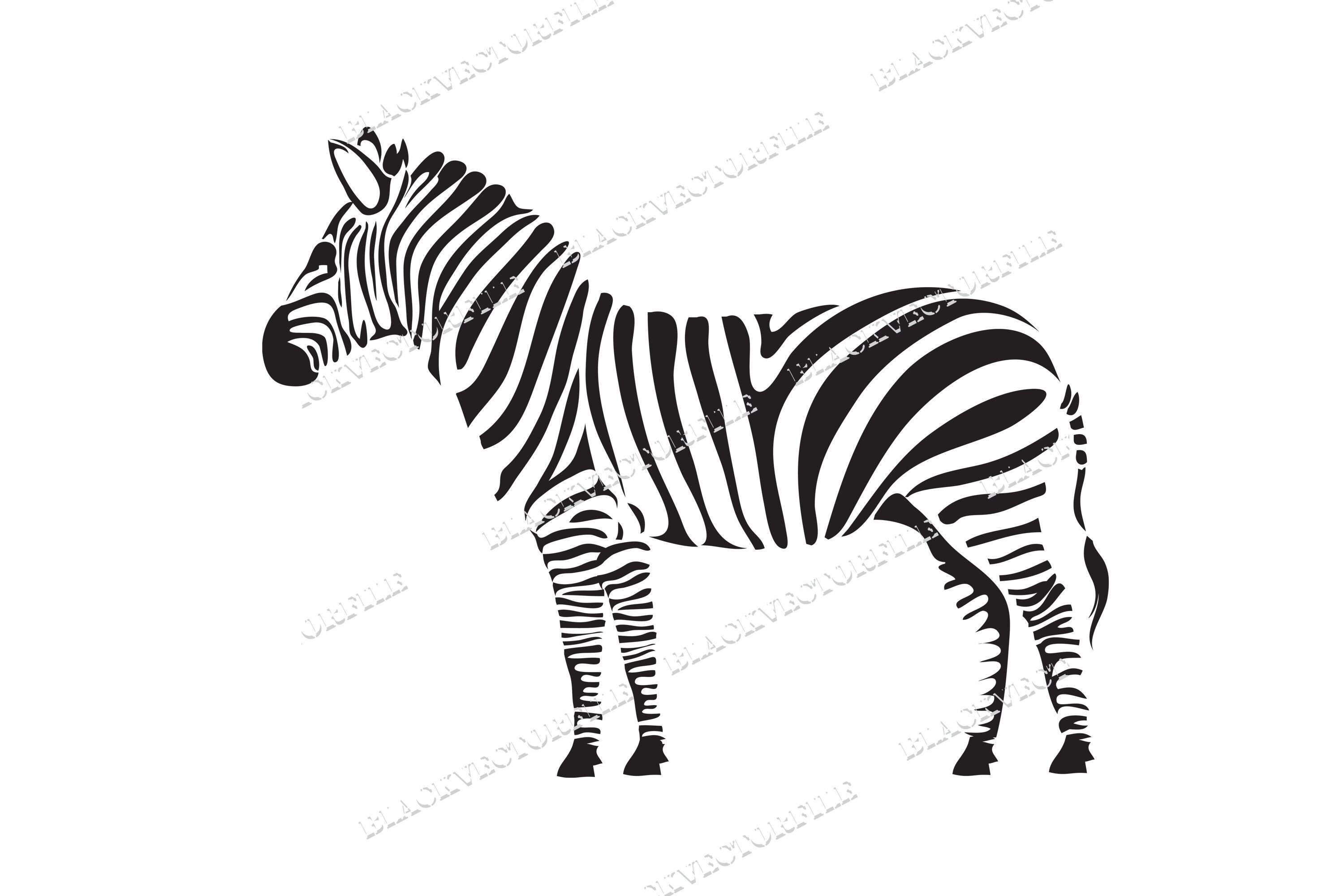 free zebra svg free zebra svg