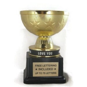 Free Lettering Male Award Desktop Series Pommel Horse Gymnastics Trophy 