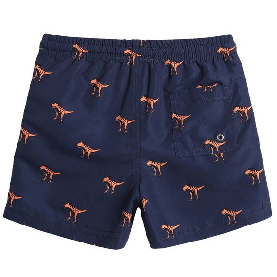 dinosaur swim shorts