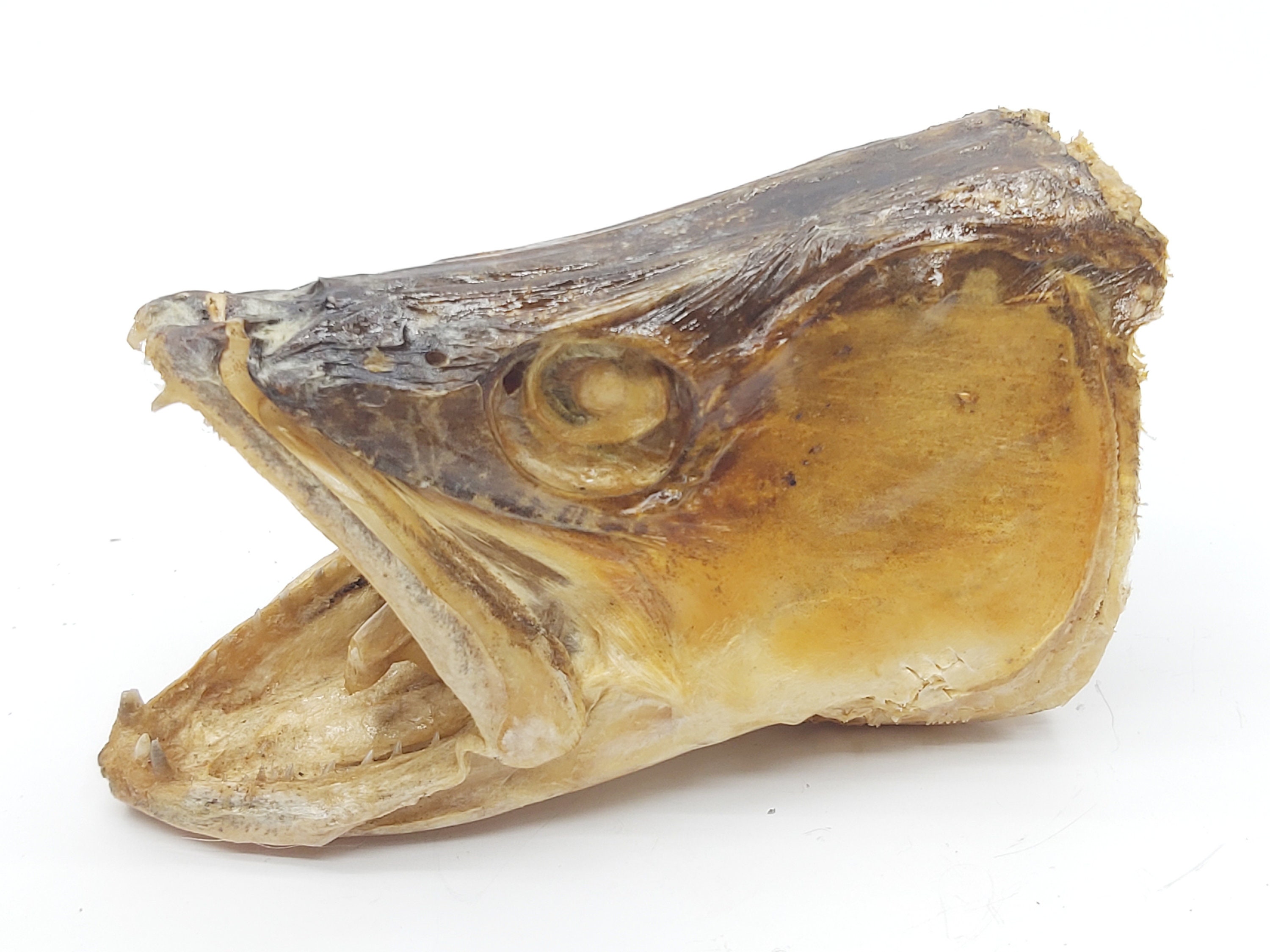 Stockfish – Bacalhau Northern Fish