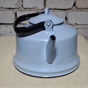 Op de afbeelding: Een lichtblauwe emaille waterketel met een zwarte handgreep en tuit. De waterketel heeft een deksel en een afgeronde body. De handgreep is gebogen en de tuit is kort. De waterketel staat op een beige oppervlak.