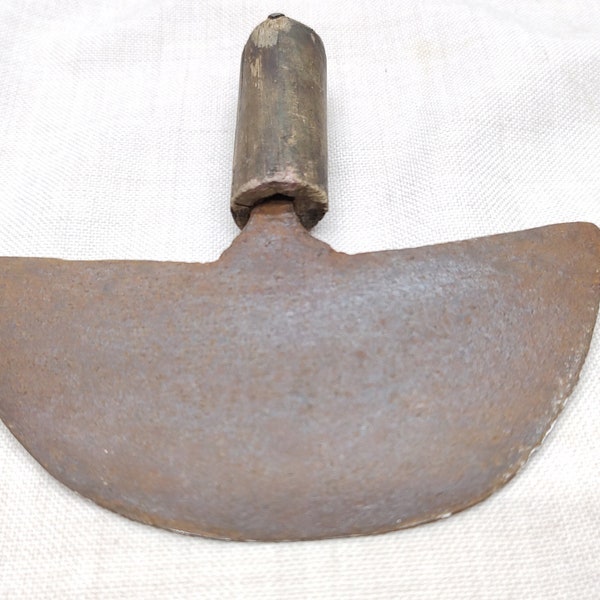 Cabbage Shredder Etsy