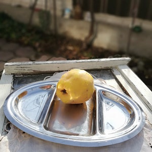 Vintage Stainless Steel Serving Tray: 1970s Cocktail Plate with 3 Sections