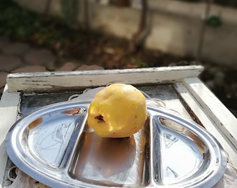 Bandeja vintage de acero inoxidable: plato de cóctel de los años 70 con 3 secciones