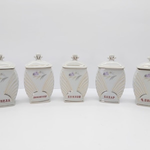 Vintage Floral Porcelain Spice Jars: 1970s Kitchen Canisters, Set of 5
