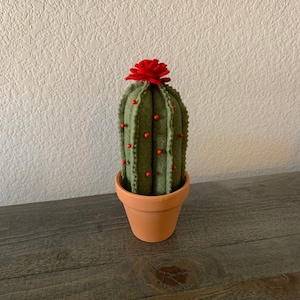 Felt Cactus Pin Cushion / Felt Cactus Pincushion / Cactus Pin Cushion / Cactus Pincushion / Succulent Pin Cushion / Succulent Pincushion