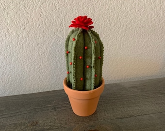 Felt Cactus Pin Cushion / Felt Cactus Pincushion / Cactus Pin Cushion / Cactus Pincushion / Succulent Pin Cushion / Succulent Pincushion