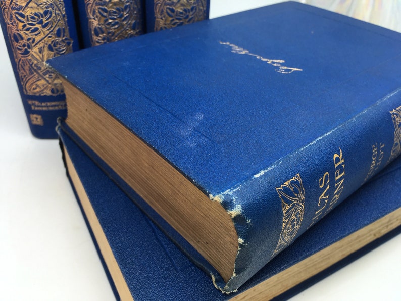 May include: A stack of blue hardcover books with gold lettering and decorative designs. The top book has the title "The Last Summer" on the spine.