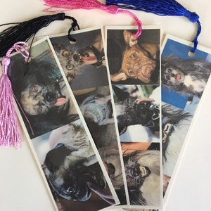 There are No Ugly Dogs- set of 4 laminated bookmarks