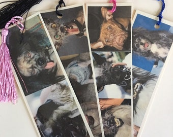 There are No Ugly Dogs- set of 4 laminated bookmarks