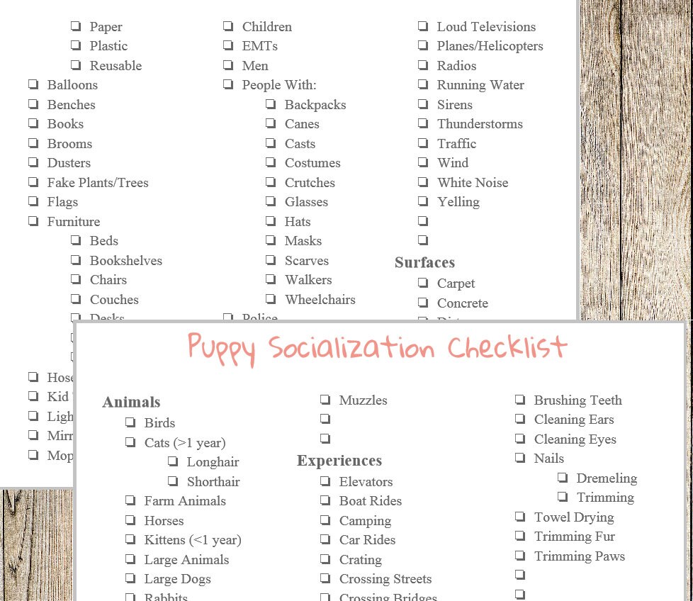 Puppy Socialization Checklist - Etsy