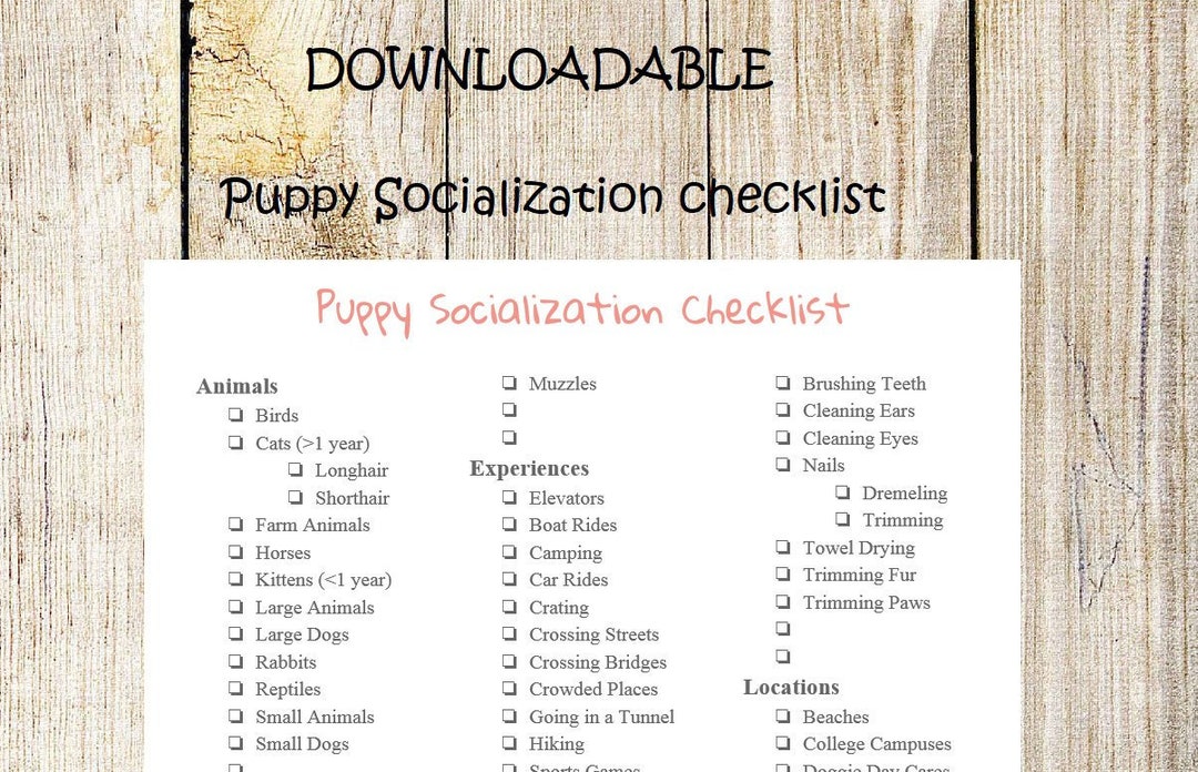 Puppy Socialization Checklist - Etsy