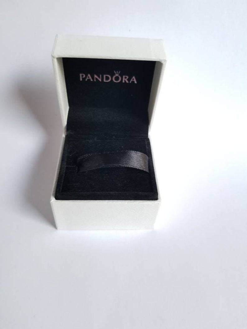 Pandora Symbols of New York City Dangle Charm 797198ENMX USA Etsy