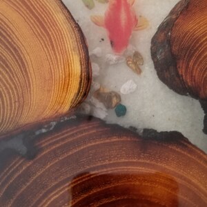 May include: A resin art piece with a red and orange goldfish, gold glitter, and white sand. The resin is poured over two wood slices with visible wood grain.