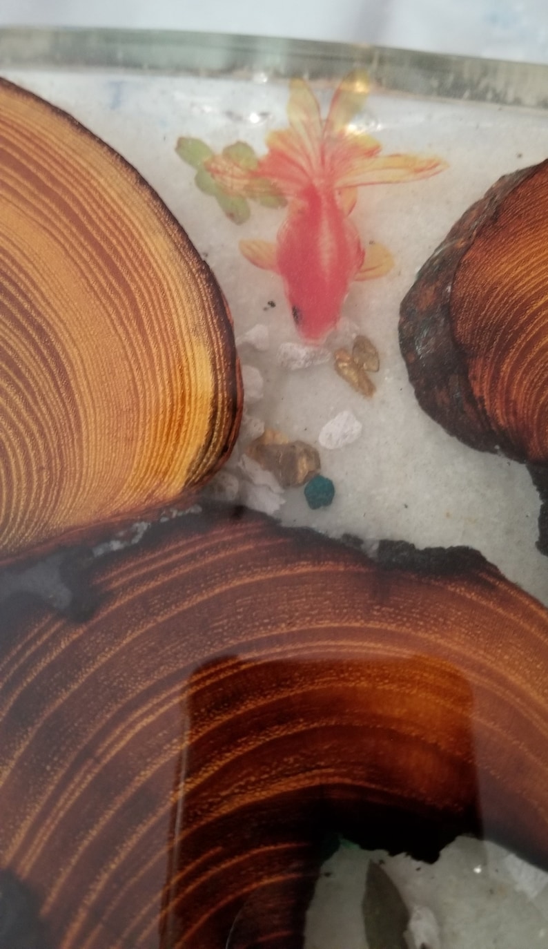 May include: A resin art piece with a red and orange goldfish, gold glitter, and white sand. The resin is poured over two wood slices with visible wood grain.