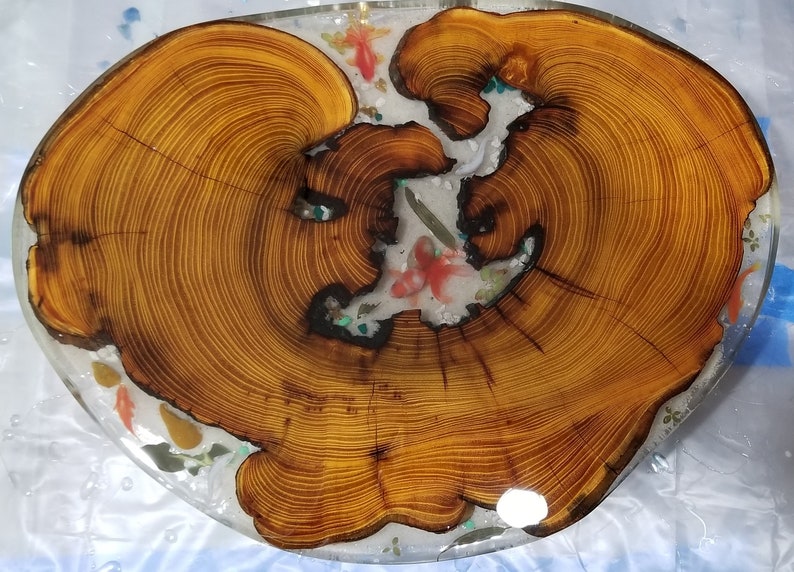 May include: A round wooden slice with a natural wood grain pattern, encased in clear resin. The resin contains embedded colorful fish and other decorative elements.