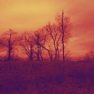 Ohne Titel