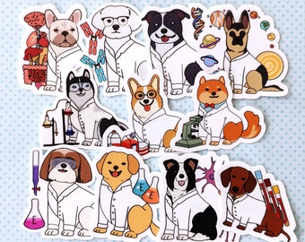 DOGTOR Vinyl Sticker | Science Stem Biology Chemistry Microbiology Neurology Academia Nerd Geek PhD MSc