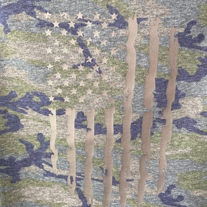 Tattered American Flag