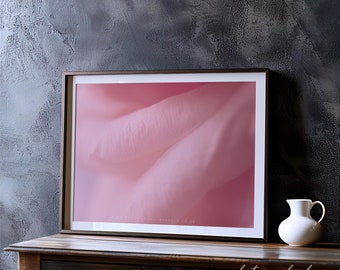 Pink Rose Fine Art Photography Print | Sapphic Love Story