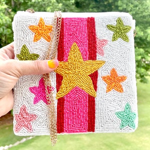 Borsa a righe a stella / Chiusura con cerniera multicolore / Perline fatte a mano / Hardware dorato / Perline / Regali unici per lei / Moneta con perline