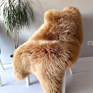 May include: A plush, tan-colored sheepskin rug draped over a white chair. The rug has a thick, shaggy texture and a warm, inviting appearance. The sheepskin is a natural color, with variations in tone. The rug is placed in a well-lit room with a plant in the background.