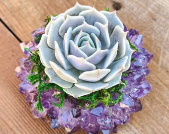 Point Amethyst Succulent Crystal Planter