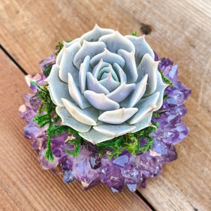 Point Amethyst Succulent Crystal Planter